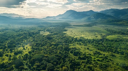 Canvas Print - From lush rainforests to arid deserts, the landscapes showcase a stunning variety of natural wonders and habitats.