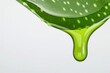 © Jeannaa - Close-up of fresh aloe vera leaf dripping gel isolated on white background.