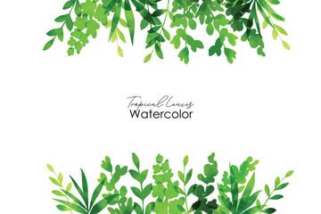 Wall Mural - Watercolor tropical leaves frrame illustration. Summer tropical frame  leaves. Watercolor vector banner tropical leaves isolated on white background.