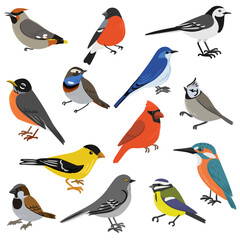 Wall Mural - vector drawing set of birds, isolated nature design elements, hand drawn illustration