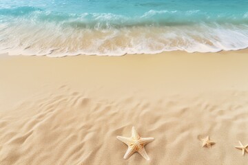 Wall Mural - Seashells on a Beach