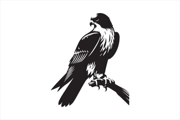 Wall Mural - falcon silhouette vector illustration