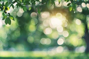 a blurry image of a tree branch
