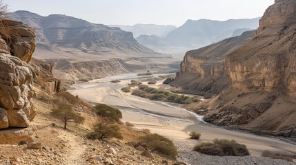 Wall Mural - The dry riverbeds, or wadis, in the desert tell tales of ancient waters that once flowed through these arid lands.