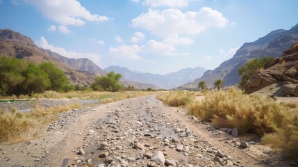 Wall Mural - The dry riverbeds, or wadis, in the desert tell tales of ancient waters that once flowed through these arid lands.