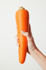 Wall Mural - Fresh orange carrot held in hand on white background with empty space in front