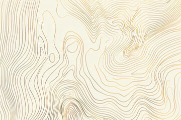 Poster - 
Topographic map line background vector illustration. Topography contour pattern with copy space. Abstract line art design