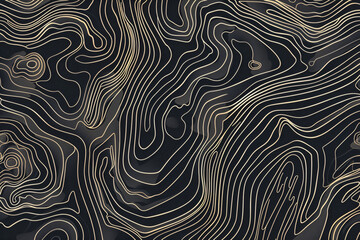 Poster - line art topographic map background with abstract wavy lines and contours for landscape design, poster print template. 