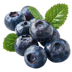 Wall Mural - Detailed cutout of a A fresh bilberry isolated 