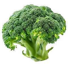 Wall Mural - Detailed cutout of a A fresh broccoli head isolated 