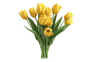 Bunch of yellow tulips isolated on transparent background