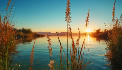 Canvas Print - Sunset over a still lake with tall grasses in the foreground.