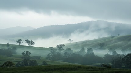 Poster - The sight of a misty rain over rolling hills, the landscape shrouded in a soft, ethereal veil, evokes a sense of mystery and beauty.