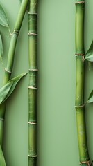Wall Mural - Green bamboo with copy space