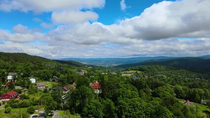 Wall Mural - Aerial view of a village in the mountains forest of Germany on a sunny day