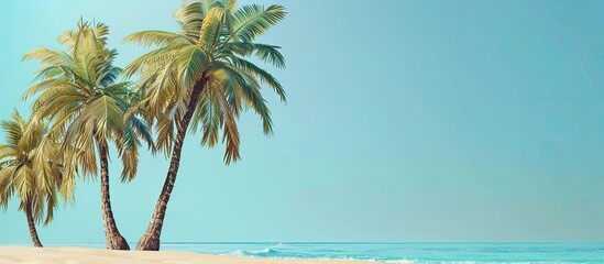 Poster - Modern summer scene featuring coconut trees on beach sand against a blue backdrop. Chic and artistic with space for text and images. with copy space image. Place for adding text or design