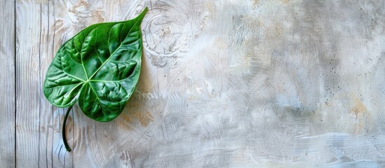 Poster - A Syngonium podophyllum leaf is positioned within a frame on a gray wooden backdrop, creating a flat lay background with a copy space image.
