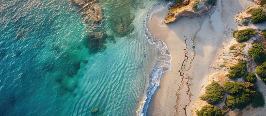 Poster - Shoreline view against the ocean with a stretch of sand. with copy space image. Place for adding text or design