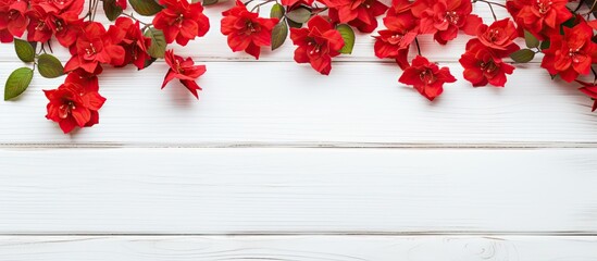 Aufkleber - Red flowers with leaves set against a white wooden backdrop, providing an ideal copy space image.