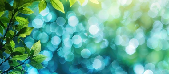 Poster - Blurry abstract summer background featuring blue and green hues with bokeh effect, ideal as cover page for environment and ecology themes. Natural green leaves surround a tranquil copy space image.