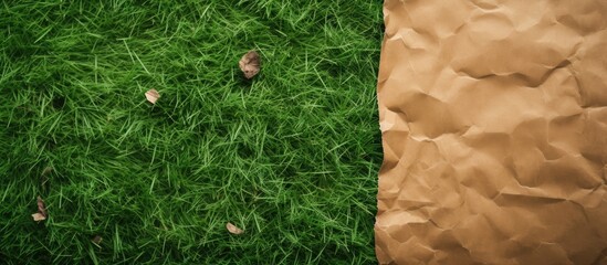 Poster - Brown paper torn on a green grass background with copy space image.