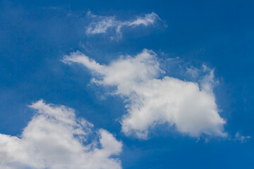 fresh blue sky with floated white soft and fluffy clouds shown shaping like elephant rising its trun