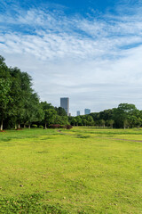 Beautiful panorama of green city park