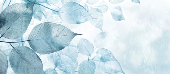 Poster - Background of abstract skeleton leaves with copy space image.