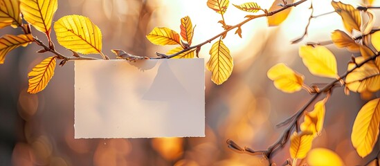Poster - A fall-themed twig with yellow foliage next to a blank white card on a softly blurred backdrop, perfect for a copy space image.