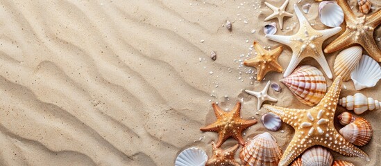 Poster - Flat lay arrangement featuring lovely starfish and seashells on sandy beach with copy space image.