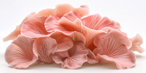 Wall Mural - A bunch of pink mushrooms are piled on top of each other. Concept of abundance and growth, as the mushrooms are plentiful and spread out across the surface