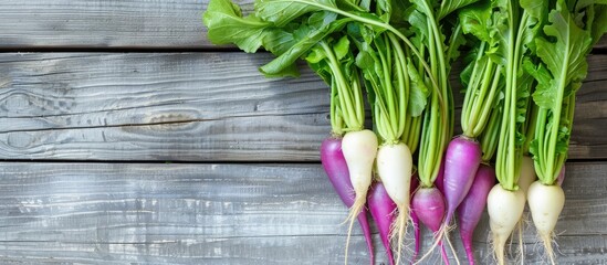 Poster - Top view of green and purple daikon radishes placed on a gray wooden surface, with room for text in the image. copy space available