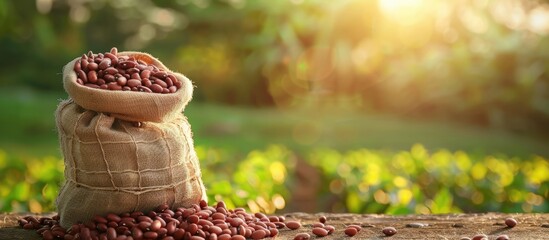 Poster - A burlap sack of dry kidney beans displayed on a tabletop against a backdrop of a lush green field in an image with available space for textual content. copy space available
