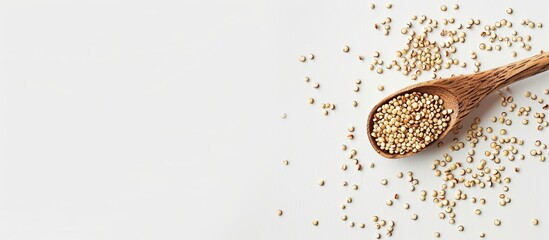 Poster - Wooden spoon with quinoa seeds on a white backdrop, perfect for copy space image.