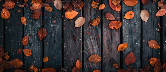 Poster - Autumn leaves showcased on a wooden backdrop with a flat view, perfect for a copy space image.