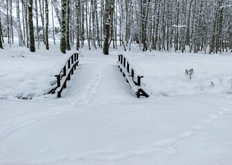 Wall Mural - birches covered with a thick blanket of snow, a wooden bridge covered in snow