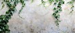 © Ilgun - Copy space image featuring ivy cascading down a wall.