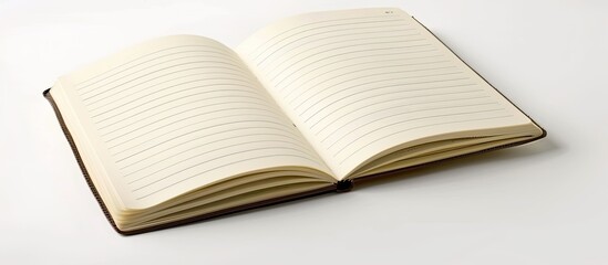 Poster - isolated on a white background, there is a blank notebook with space for copying images.