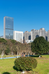 city park with modern building background in shanghai