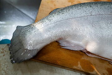 A series of detailed close-up shots showcase the beauty and freshness of a whole salmon, ready for culinary preparation.

