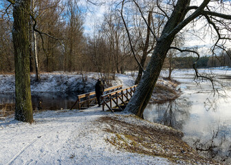 Wall Mural - winter landscape, snowy ground, trees, grass