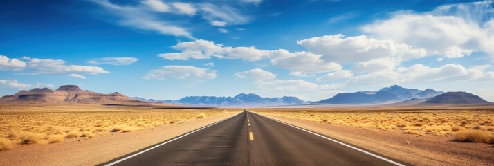 Canvas Print - Road Trip Through The Desert