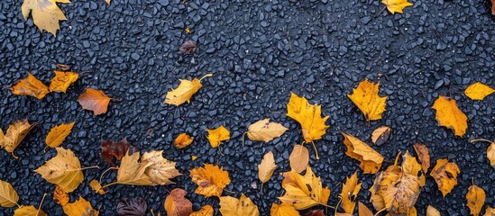 Canvas Print - Use yellow and brown leaves on asphalt as a frame for text with copy space image.