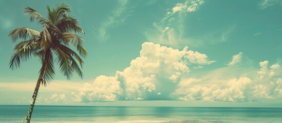 Poster - Tropical beach with a palm tree against a blue sky and white clouds creates a serene copy space image evoking summer vacations and business travel, in a vintage color tone filter style.