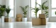 © Anastasiia - Living room filled with moving boxes and plants during relocation phase. Concept Relocation, Moving Boxes, Interior Design, Houseplants, Home Decor