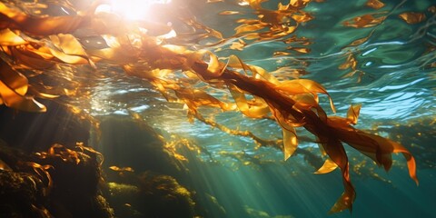 Wall Mural - Underwater Seaweed Forest with Sunbeams