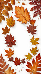 Wall Mural - round autumnal leaves frame isolated