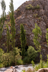 A rocky mountain with a forest of trees and a cave