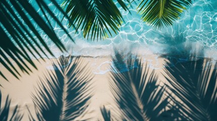 Wall Mural - Frame made of various leaves of tropical plants and shadows on background of blue water