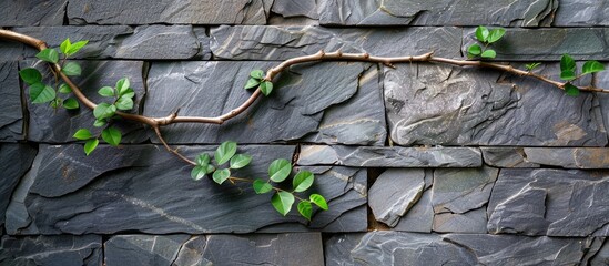 Poster - Copy space image of a grey stone wall with varied stone sizes, featuring a branch adorned with green leaves.